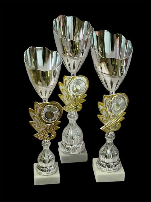 Кубки спортивные