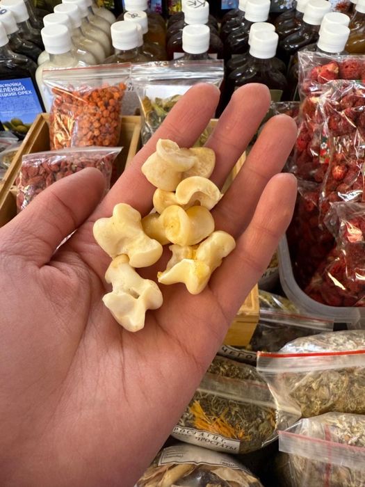 Қасқыр тіс оригинал,клык волка