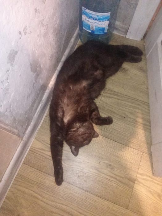 Красоту в добрые руки!