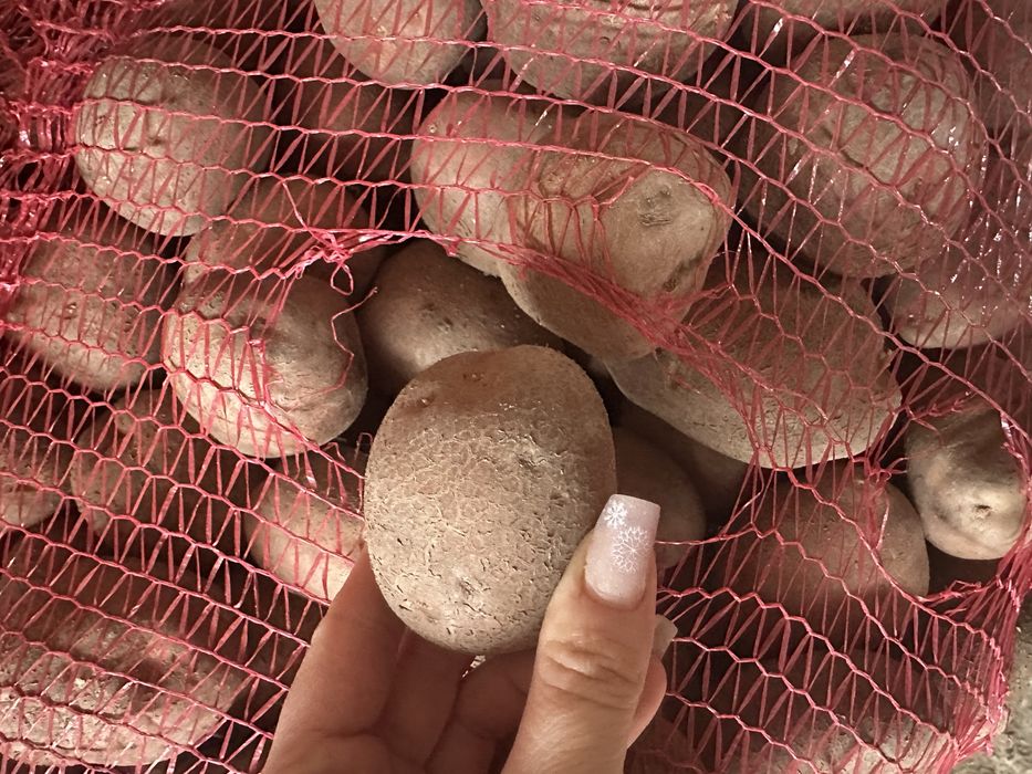 Cartofi de Covasna de consum