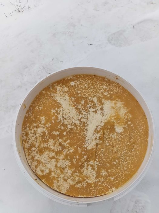 Мед разнотравие с предгорья Алтая