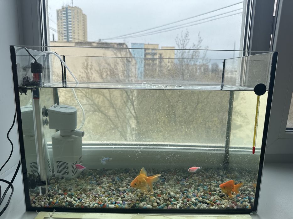 Аквариум  50 л стеклянный