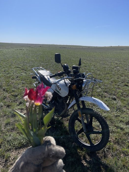 Продам SAQ 200 куб