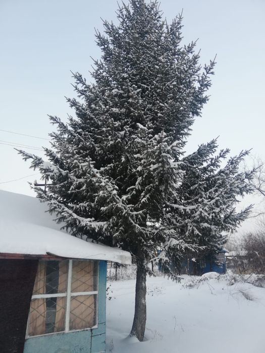 Продам дачу.за Автопарком ,,Воско,,