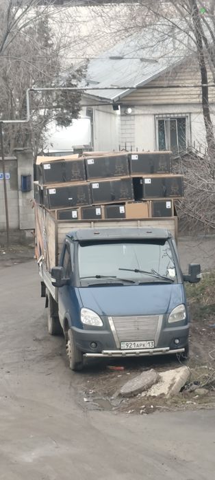 Вывоз мусора вывоз ветки