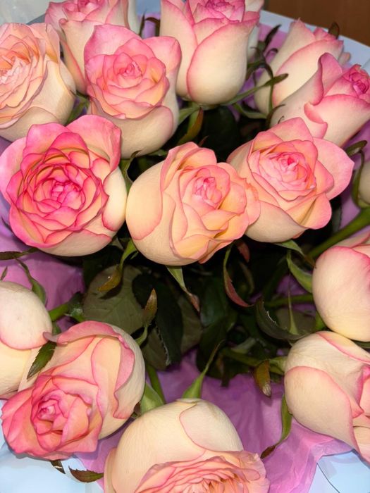 Арзан гүл! Әдемі солмаған бағасы келісімді