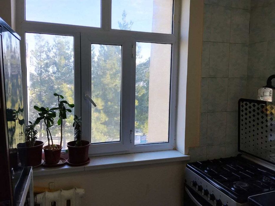 Chirchiq sh. Troyski dahasi, 14-maktab ro‘parasida