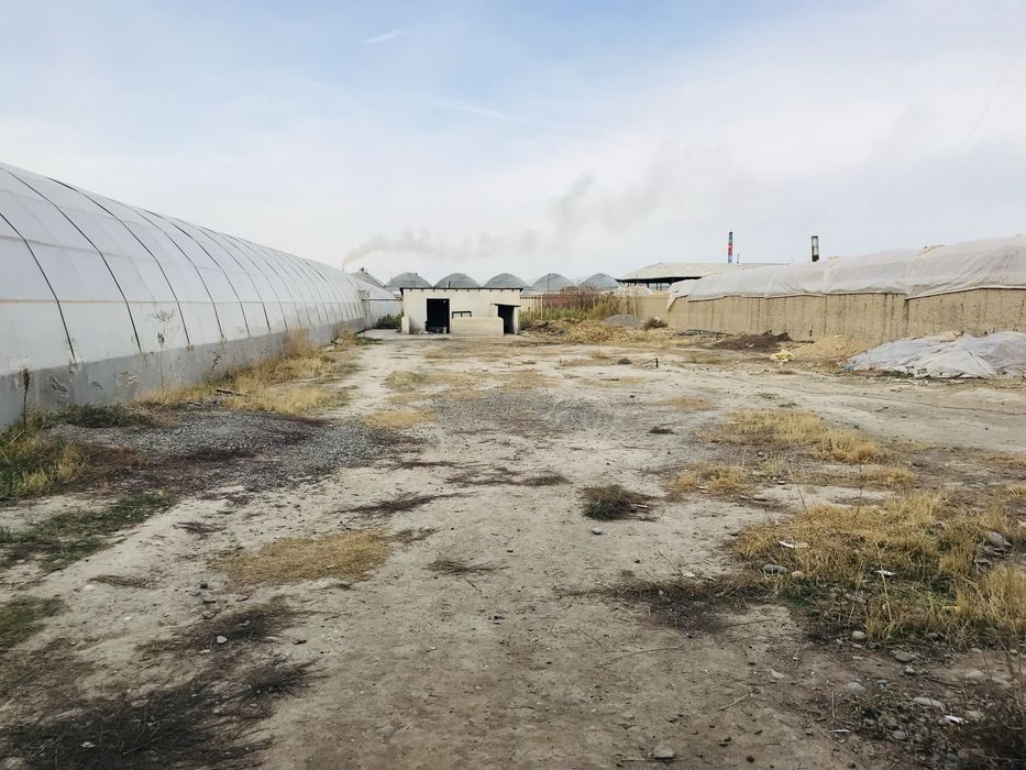 Parnik Ijaraga beramiz Samarqand ( Superda )