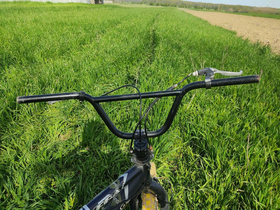 BMX Model: BX X-King