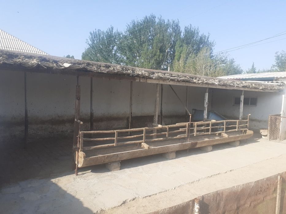 Xovli uy joy Sotiladi !!! Ховли Сотилади.