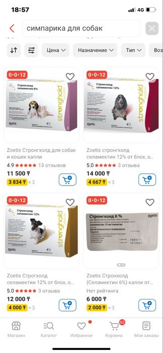 Мальчик мальтезе мини бэбифейс