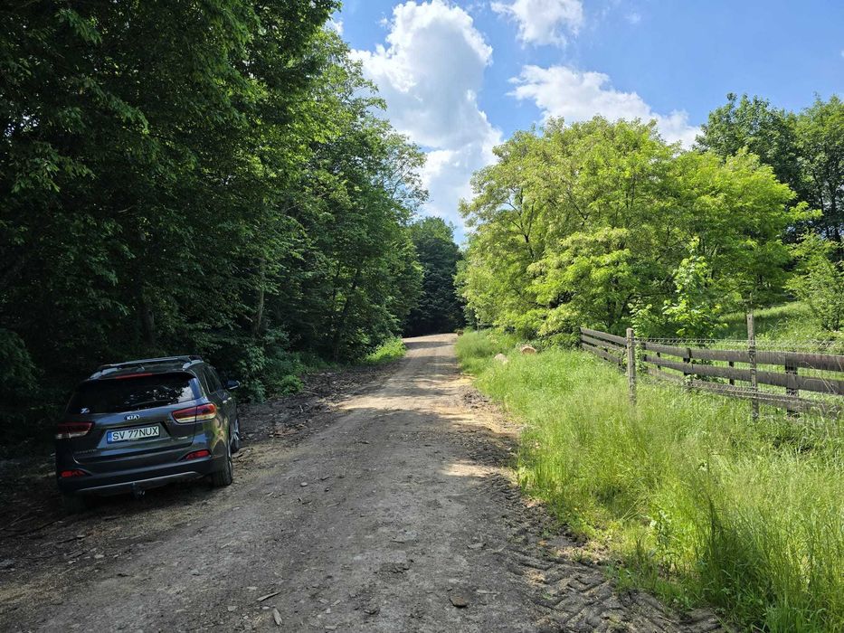vand teren in locul numit Poiana Soarelui -Ilisesti judetul Suceava