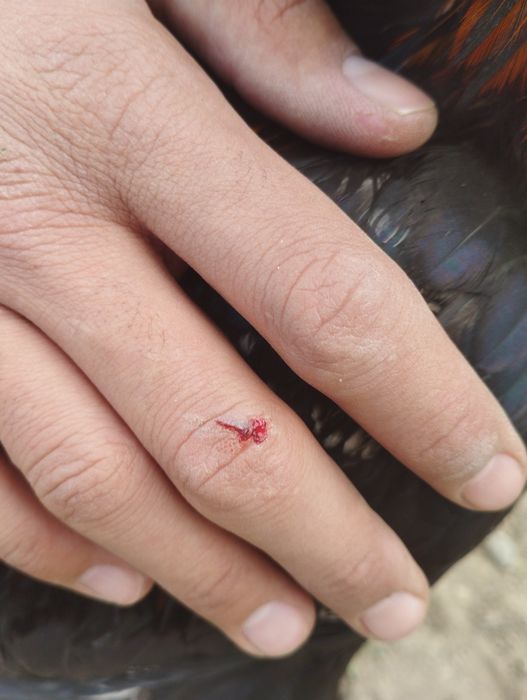 Питух в харошем состойани