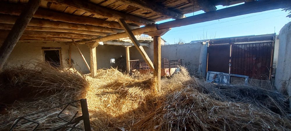 Боло харвасталар сотилади нархини келишамиз