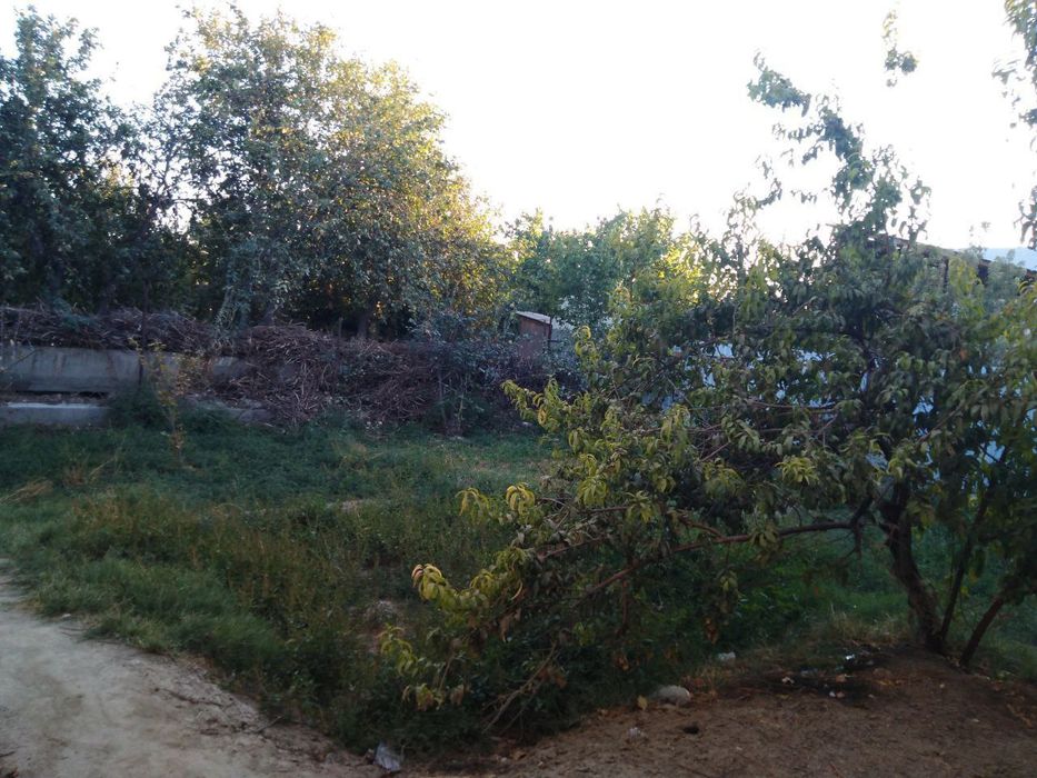 Сотилали 5 сотих