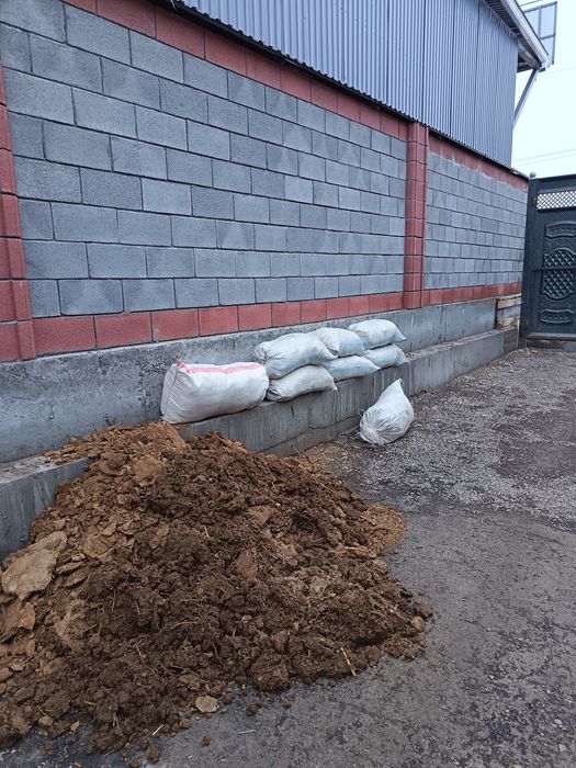 көң бар тегін беремін