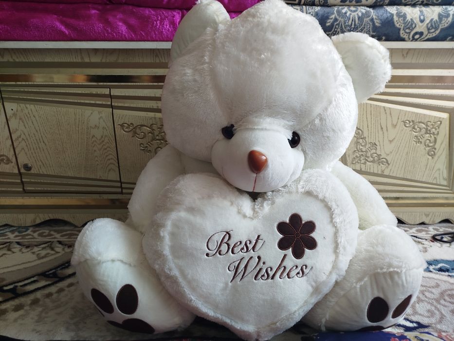 Katta ayiq yangi umuman ishlatilmagan