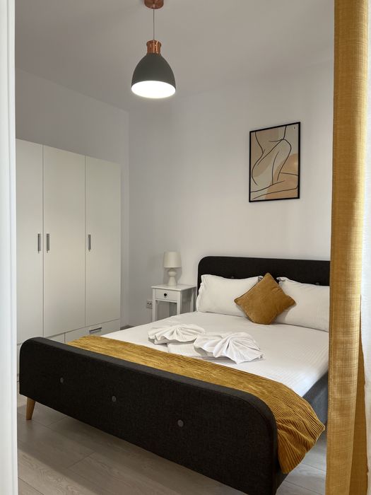 IS Cazare Regim Hotelier Apartamente 1/2/3 Camere Palas Centru Newton