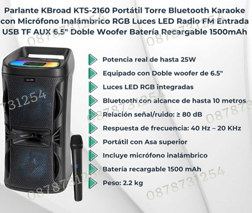 Преносима Караоке Тонколона 2х6.5 инча с Безжичен Микрофон и Блутуут