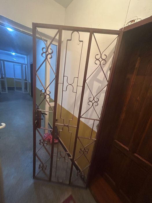 Външна метална врата