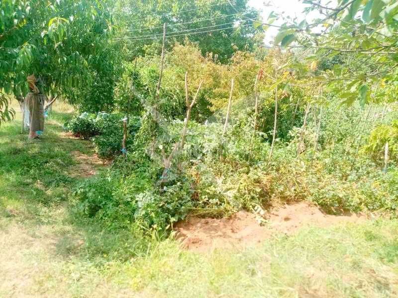 Продава се Къща в с. Завет, Област Бургас - 142 кв.м за 736 €/кв.м - Снимка #7