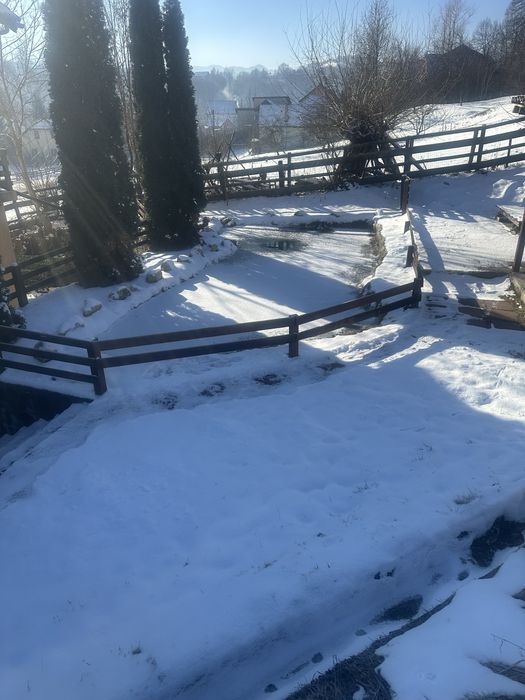 Casa de inchiriat  termen lung sau vanzare Moieciu Brasov