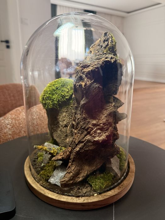 Decorațiune tip Terrarium Lucrată Manual sub cupolă de sticlă