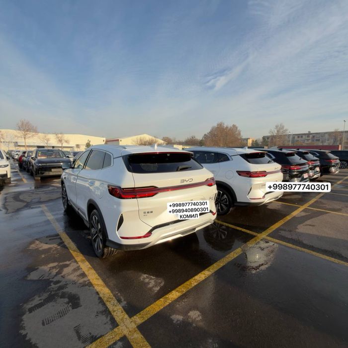 BYD Champion 2026 / БЙД Чампион 2026 0км