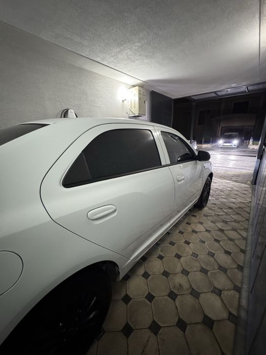 cobalt midnihgt 2025