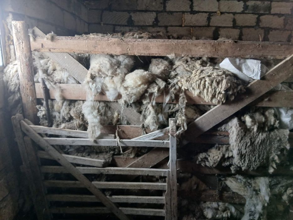 Қой жүні сатылады!!!