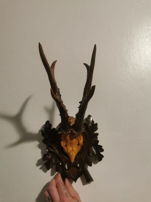 Vând trofee vânătorești!