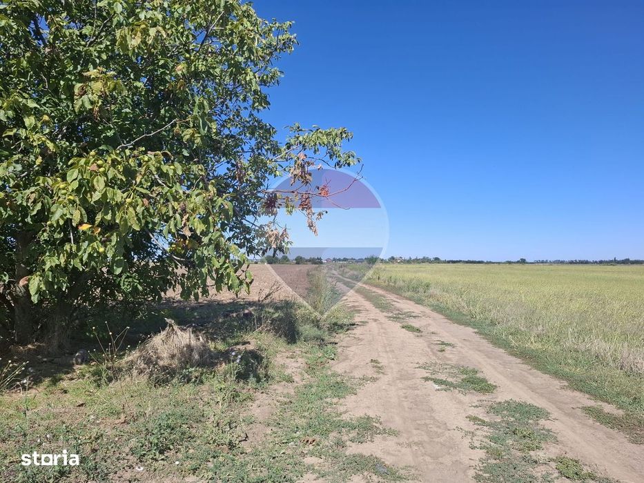 Vanzare teren extravilan 5.000mp - Pantelimon