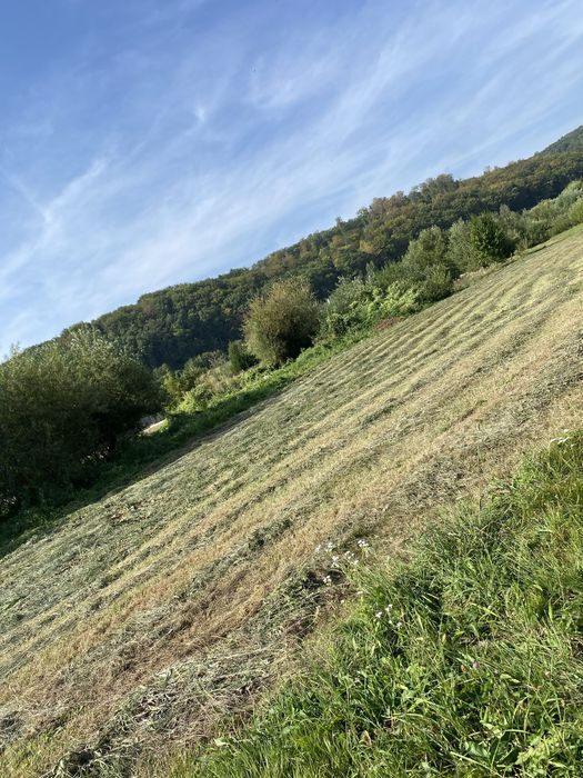 Baloti otava si lucerna