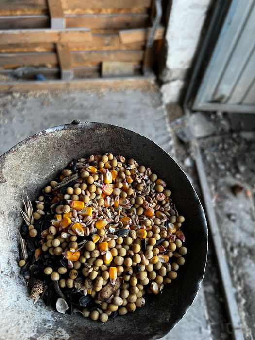 Vând furaj nutritiv pentru animalele tale