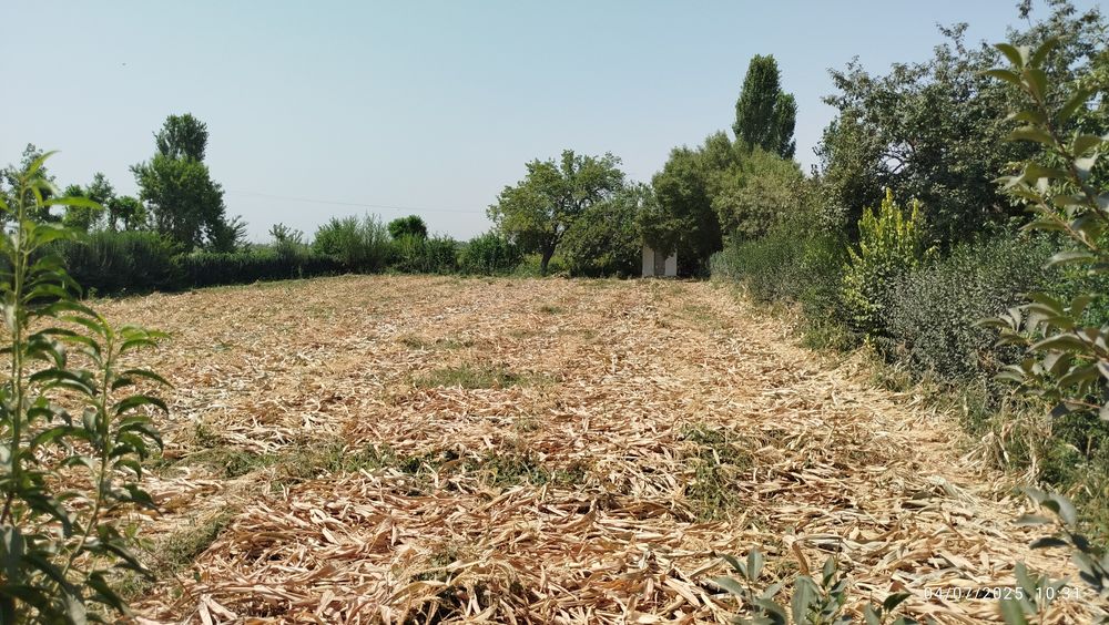 Tomorqa va uy joy sotiladi