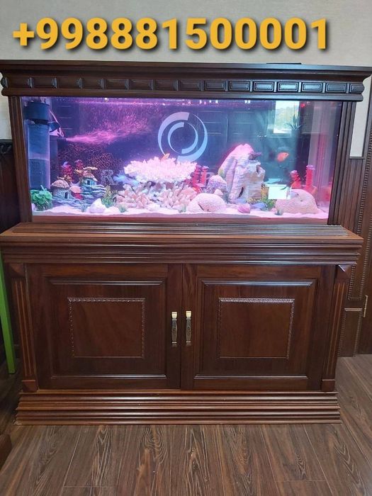 Sotiladi optimi  tayor akvarumla