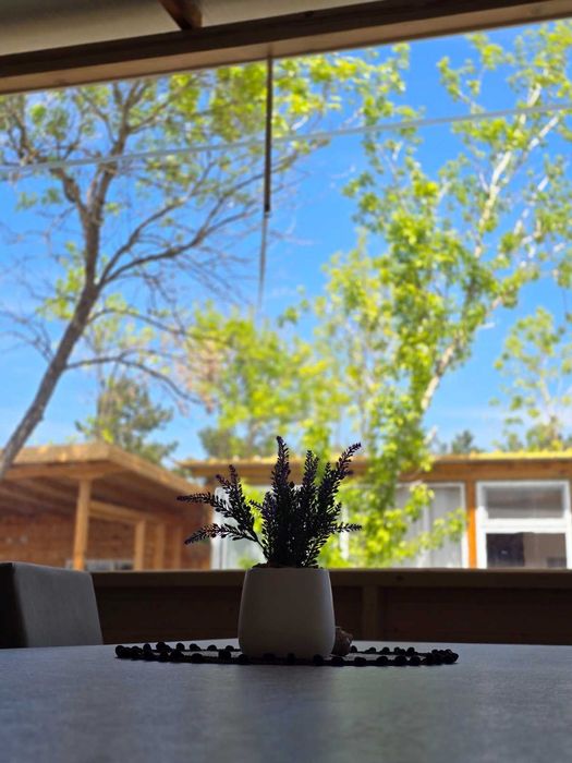 Бунгала на морето през м. Юни на ТОП ЦЕНА