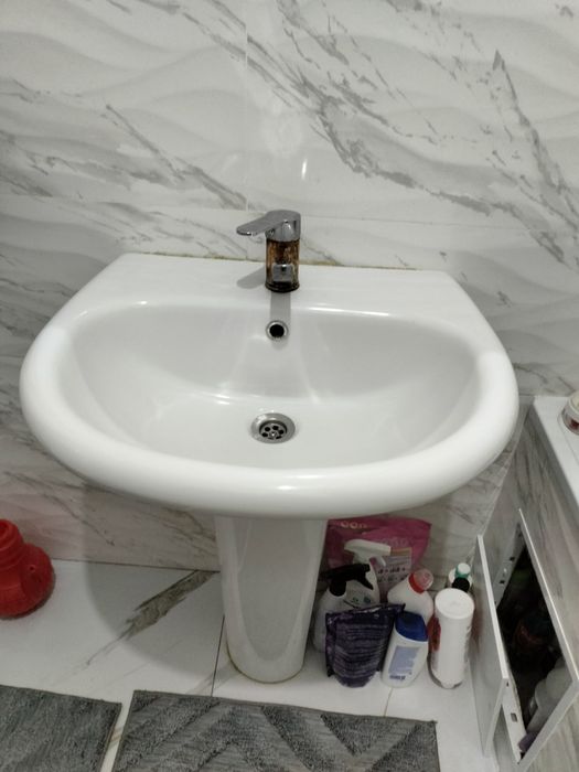 Тюльпан раковина