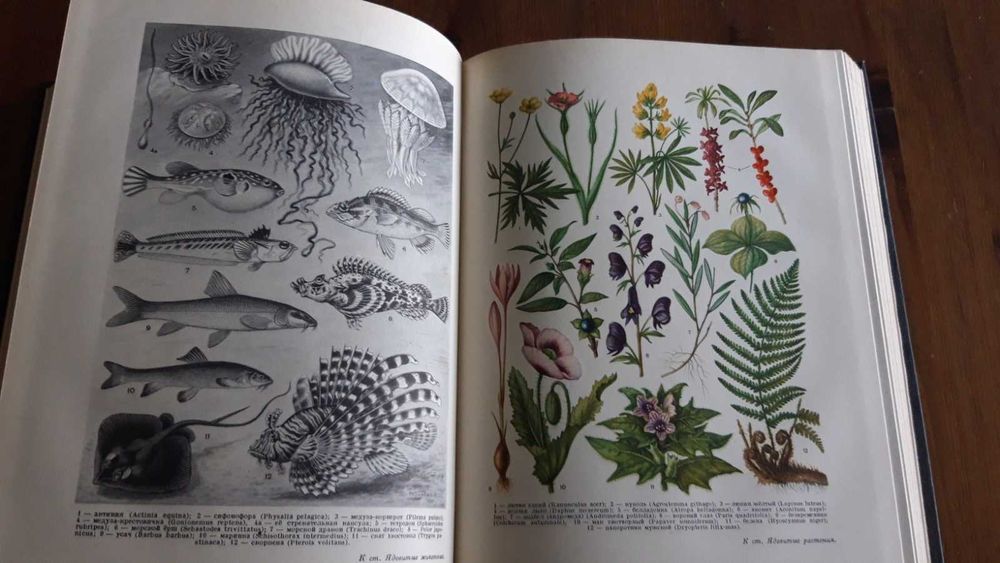 Большая советская енциклопедия - всички 51 тома 1949-1958г.
