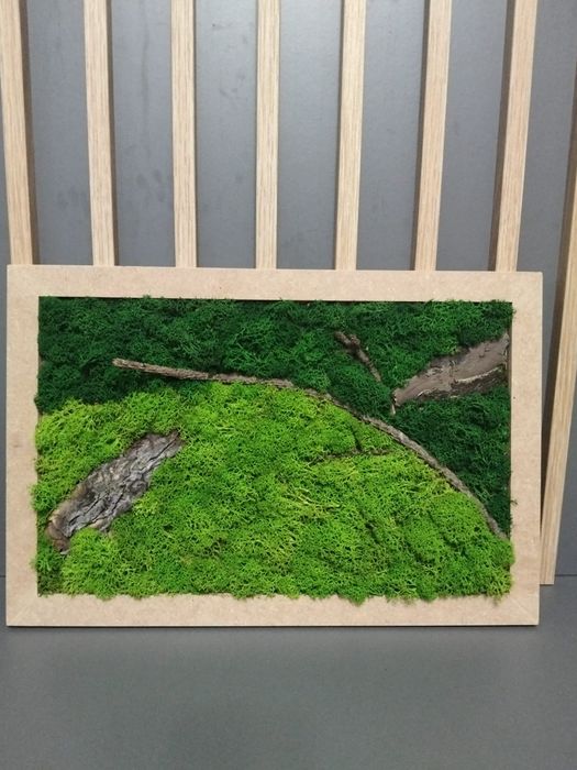 Vand tablou licheni diferite dimensiuni