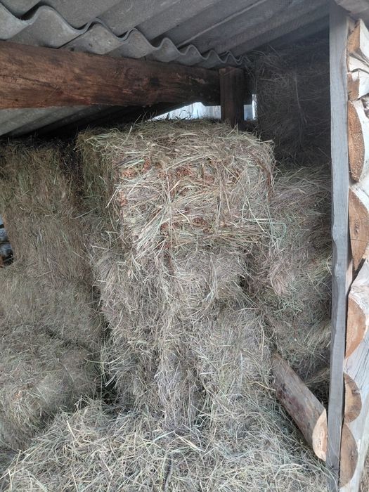 Продам сено поштучно