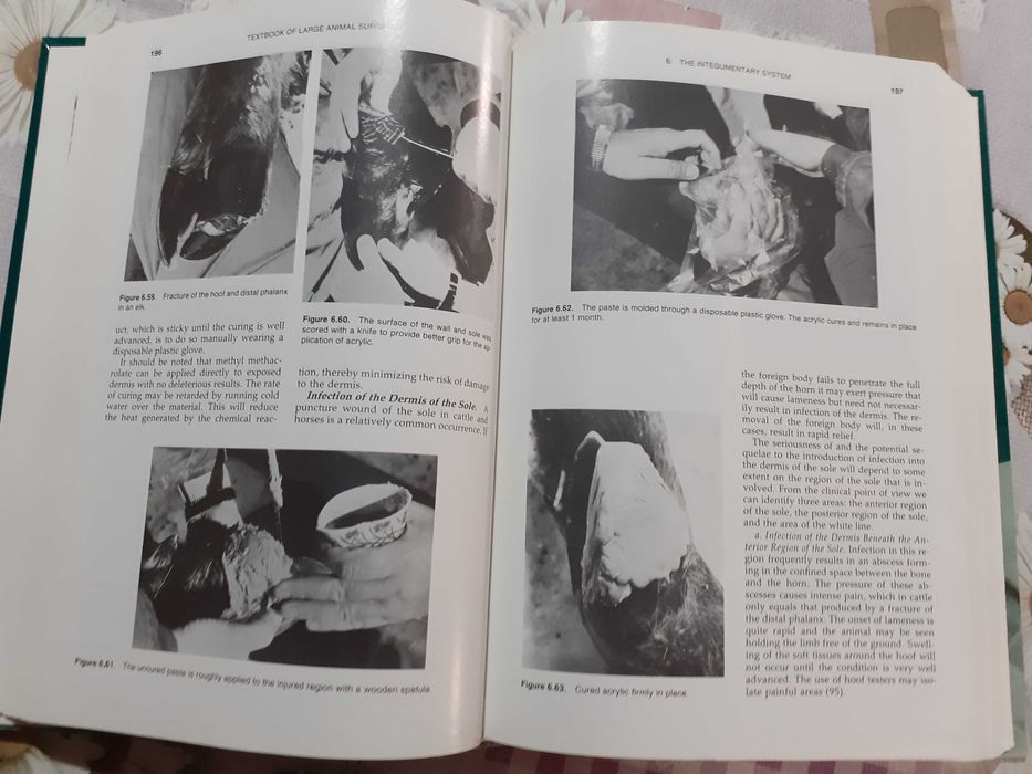 Учебник по хирургия на едрите животни на англ.език