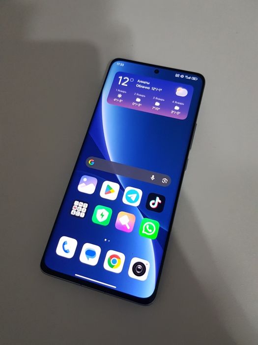 Xiaomi 12 Pro 12/256