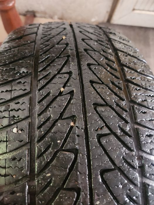 215 50 р17 зима  одна штука