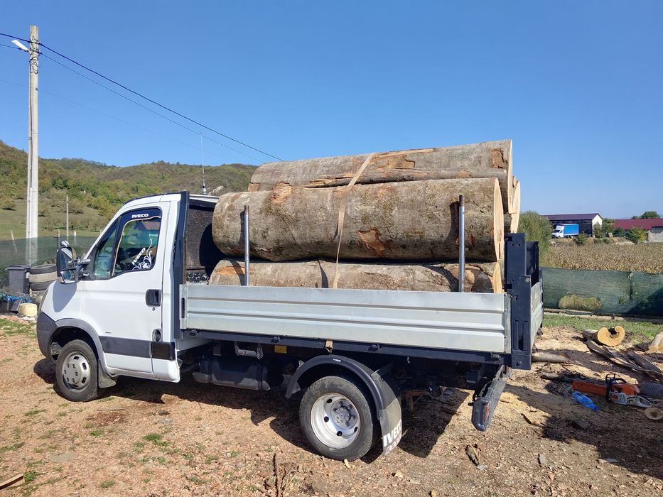 Lemne de foc esență tare