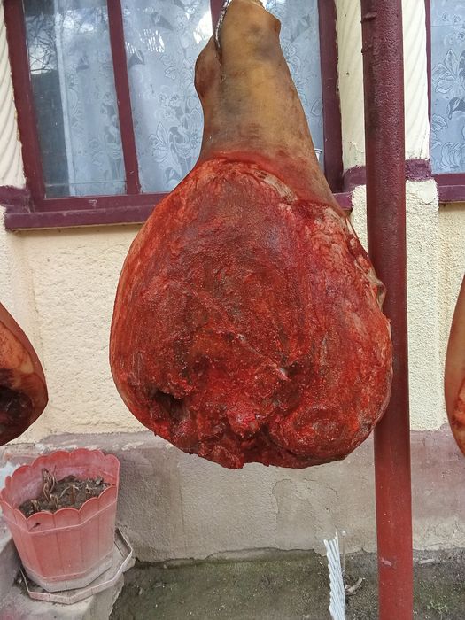 Vând șonc de casă uscat și afumat