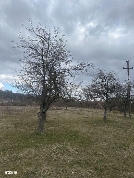 Campina - teren intravilan 4400mp - 17 Euro/mp