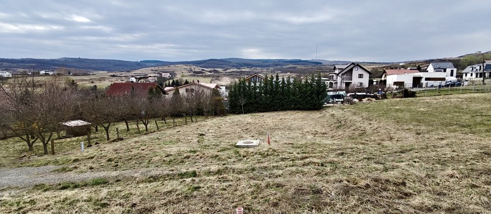 Vand teren în borhanci