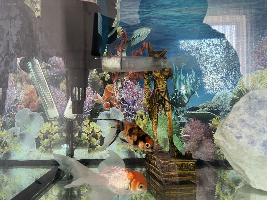 Аквариум 120 Литр