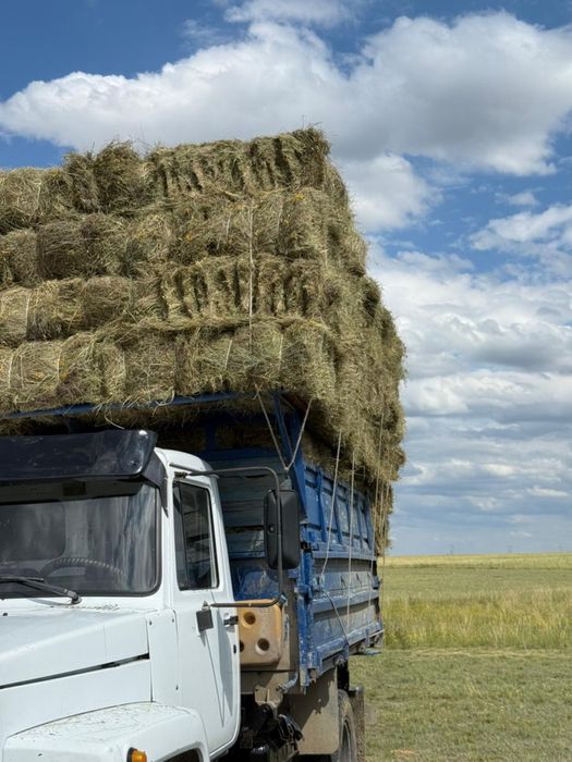 Продам тюк, сено